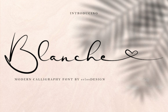 Blanche: A Handwritten Font That Elevates Branding