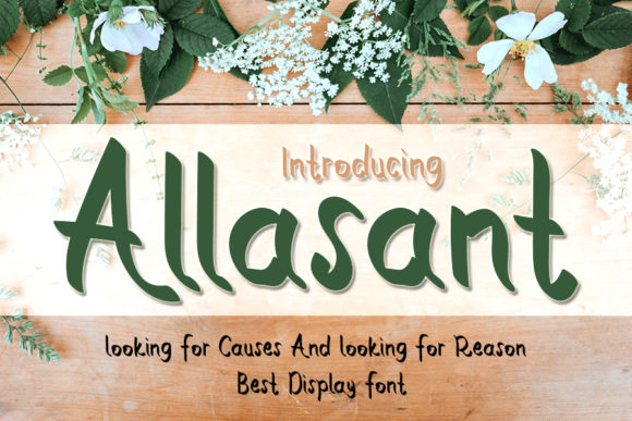 How Allasant Elevates Your Campaign with a Friendly Script Font