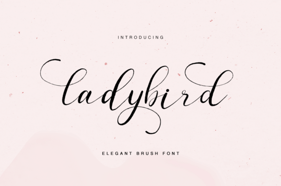 Ladybird Script Font Review for Design Projects