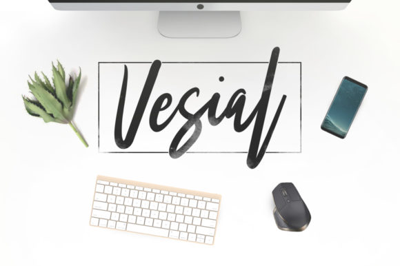 Vesial: A Handwritten Font for Editorial Elegance